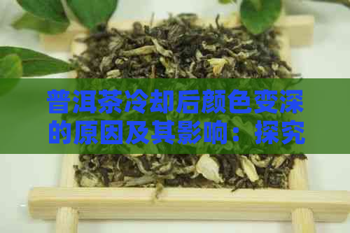 普洱茶冷却后颜色变深的原因及其影响：探究这一现象背后的原因和解决方法