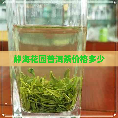 静海花园普洱茶价格多少