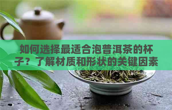 如何选择最适合泡普洱茶的杯子？了解材质和形状的关键因素