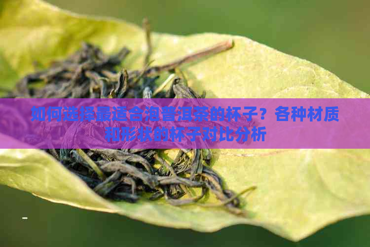 如何选择最适合泡普洱茶的杯子？各种材质和形状的杯子对比分析