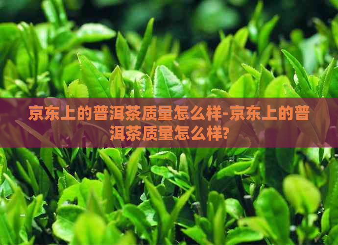 京东上的普洱茶质量怎么样-京东上的普洱茶质量怎么样?