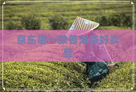 京东哪一款普洱茶好卖些