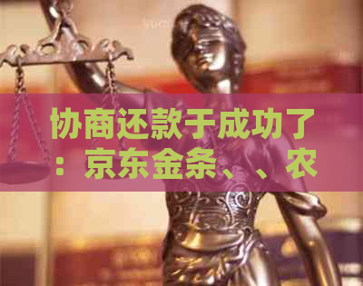 协商还款于成功了：京东金条、、农行信用卡、凡普信贷、