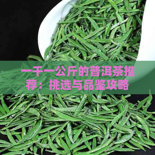 一千一公斤的普洱茶推荐：挑选与品鉴攻略