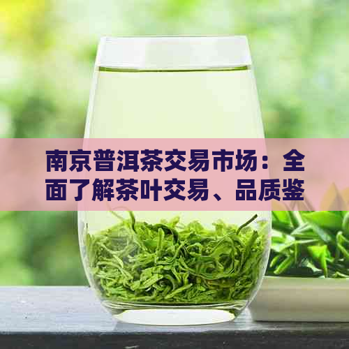 南京普洱茶交易市场：全面了解茶叶交易、品质鉴别与购买指南