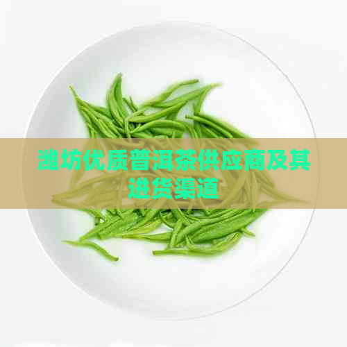 潍坊优质普洱茶供应商及其进货渠道