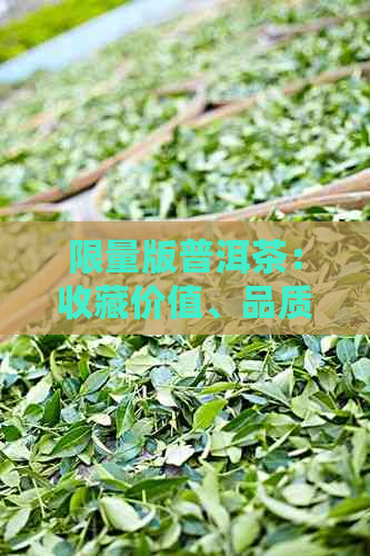 限量版普洱茶：收藏价值、品质特点与市场行情全面解析