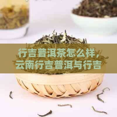 行吉普洱茶怎么样，云南行吉普洱与行吉茶叶品质对比