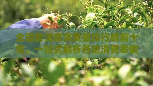 全国普洱茶消费量排行榜前十名，一站式解析各地消费者偏好和购买惯