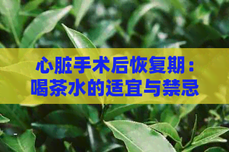 心脏手术后恢复期：喝茶水的适宜与禁忌