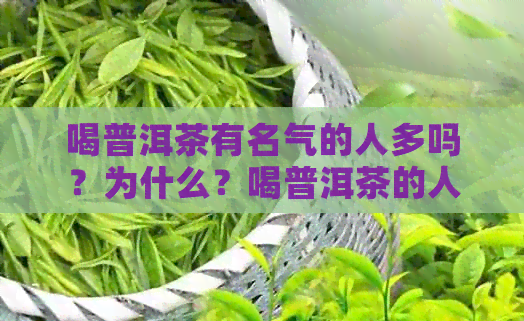 喝普洱茶有名气的人多吗？为什么？喝普洱茶的人群有哪些特点？