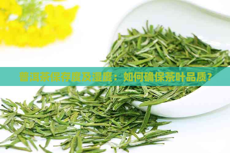 普洱茶保存度及湿度：如何确保茶叶品质？