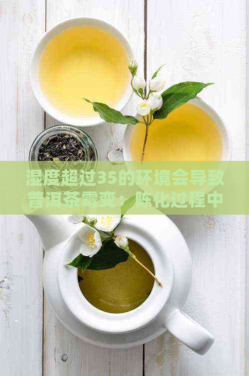 湿度超过35的环境会导致普洱茶霉变：陈化过程中的湿度问题及其影响