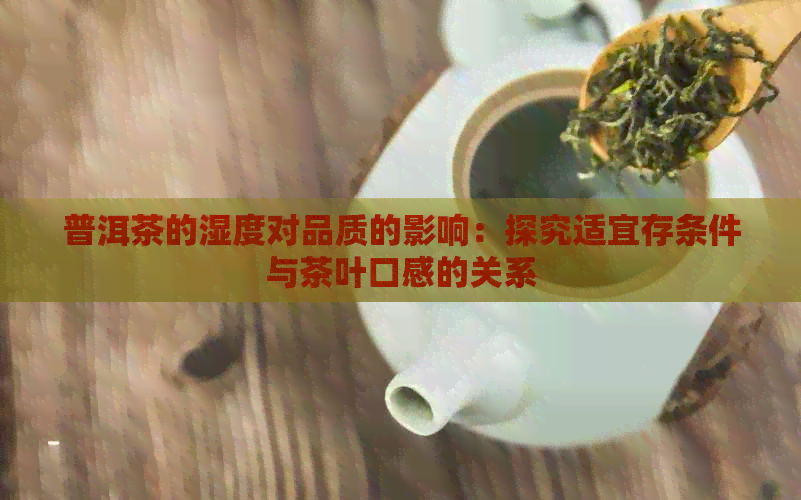 普洱茶的湿度对品质的影响：探究适宜存条件与茶叶口感的关系