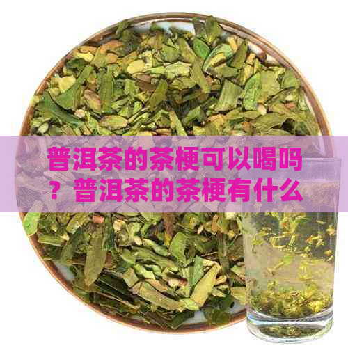 普洱茶的茶梗可以喝吗？普洱茶的茶梗有什么好处？普洱茶的茶梗比例是多少？