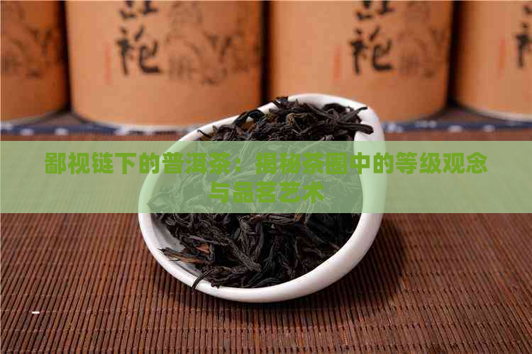 鄙视链下的普洱茶：揭秘茶圈中的等级观念与品茗艺术