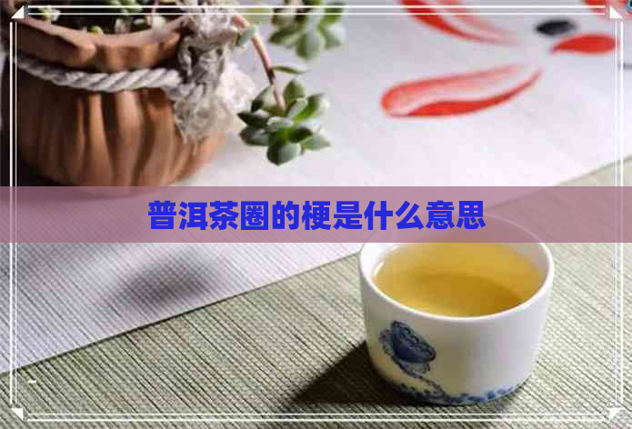 普洱茶圈的梗是什么意思