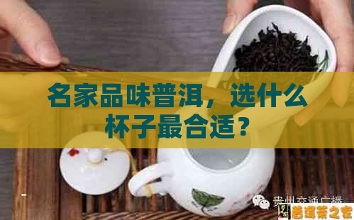 名家品味普洱，选什么杯子最合适？