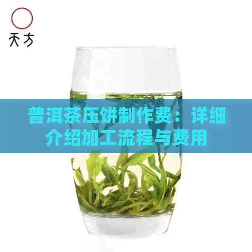 普洱茶压饼制作费：详细介绍加工流程与费用