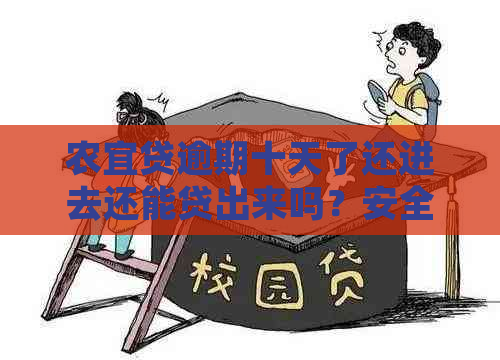 农宜贷逾期十天了还进去还能贷出来吗？安全吗？