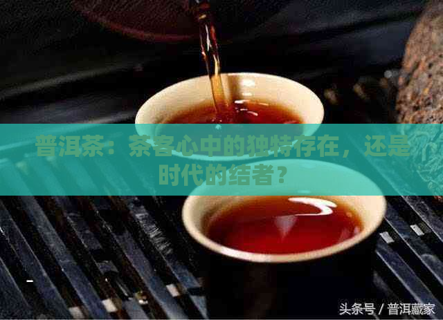 普洱茶：茶客心中的独特存在，还是时代的结者？