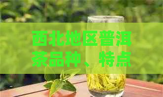 西北地区普洱茶品种、特点与详解