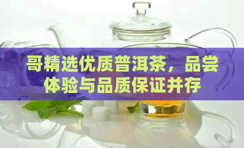 哥精选优质普洱茶，品尝体验与品质保证并存