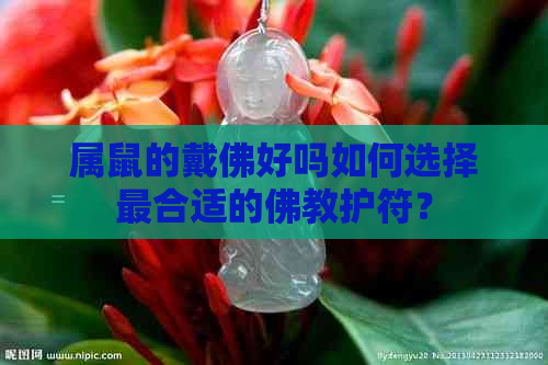 属鼠的戴佛好吗如何选择最合适的佛教护符？