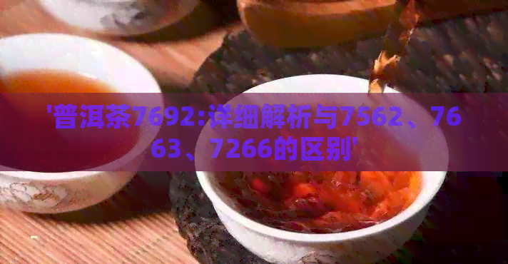 '普洱茶7692:详细解析与7562、7663、7266的区别'