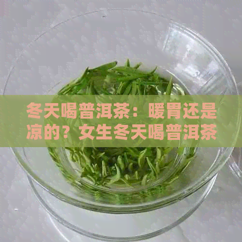 冬天喝普洱茶：暖胃还是凉的？女生冬天喝普洱茶的好处和功效