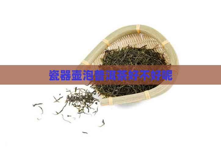 瓷器壶泡普洱茶好不好呢