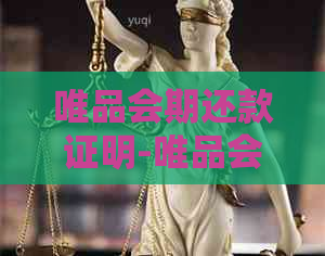 唯品会期还款证明-唯品会期还款证明怎么开