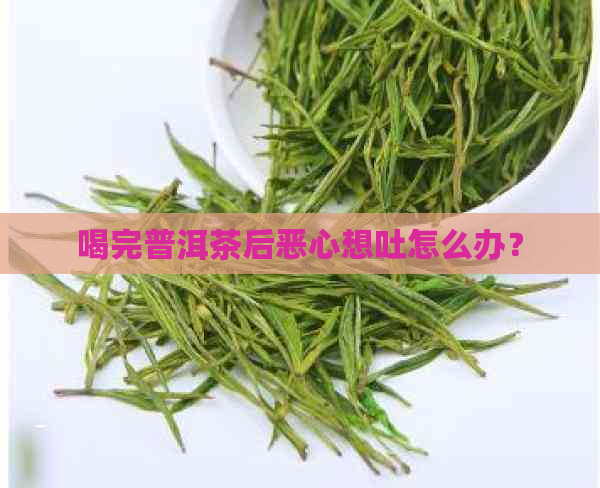 喝完普洱茶后恶心想吐怎么办？