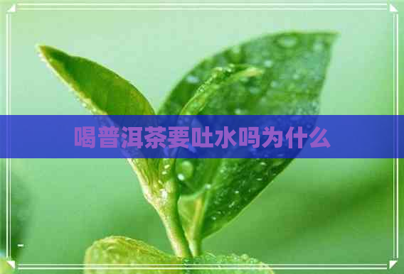 喝普洱茶要吐水吗为什么