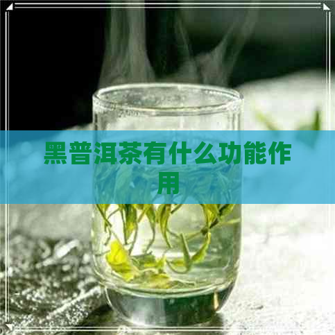 黑普洱茶有什么功能作用