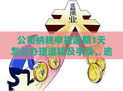 公司纳税申报逾期1天怎么办理退税及手续，逾期3天会有何影响？