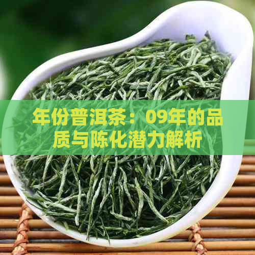 年份普洱茶：09年的品质与陈化潜力解析