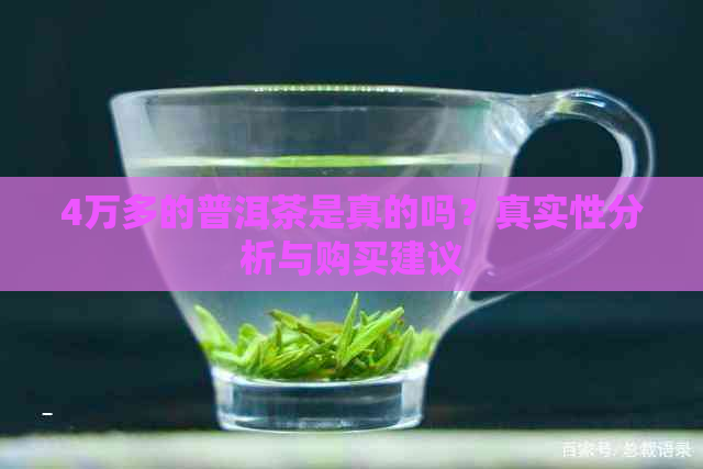 4万多的普洱茶是真的吗？真实性分析与购买建议