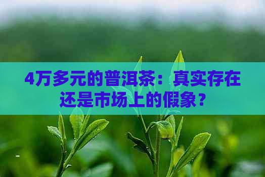 4万多元的普洱茶：真实存在还是市场上的假象？