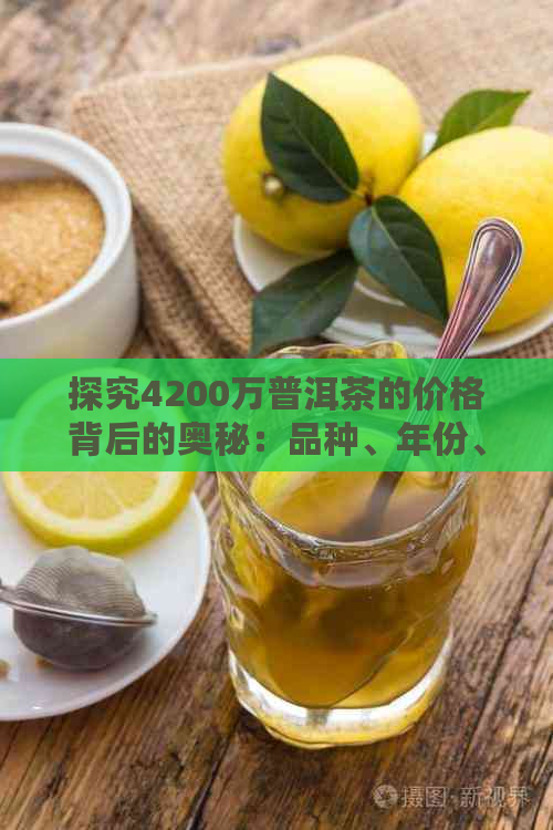 探究4200万普洱茶的价格背后的奥秘：品种、年份、产地与品质的综合分析