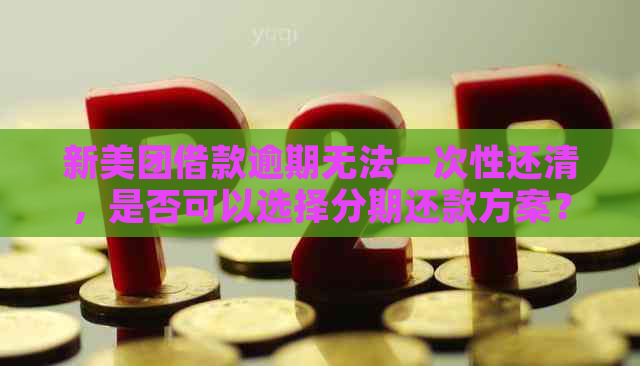 新美团借款逾期无法一次性还清，是否可以选择分期还款方案？