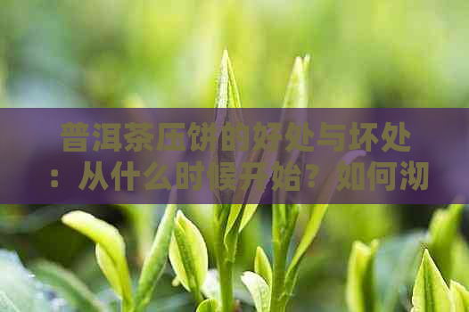 普洱茶压饼的好处与坏处：从什么时候开始？如何沏茶？