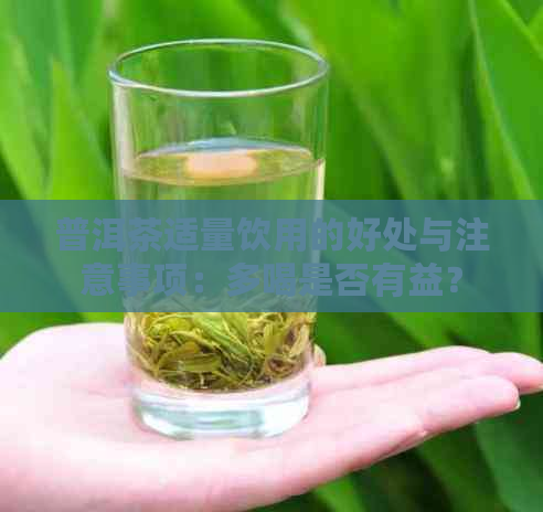 普洱茶适量饮用的好处与注意事项：多喝是否有益？