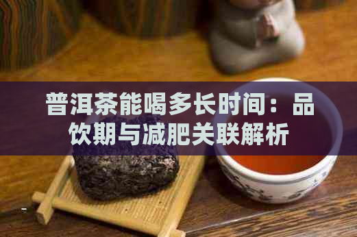 普洱茶能喝多长时间：品饮期与减肥关联解析