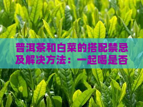 普洱茶和白菜的搭配禁忌及解决方法：一起喝是否可行？