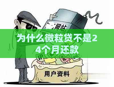 为什么微粒贷不是24个月还款