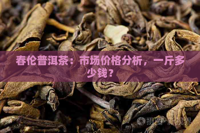 春伦普洱茶：市场价格分析，一斤多少钱？