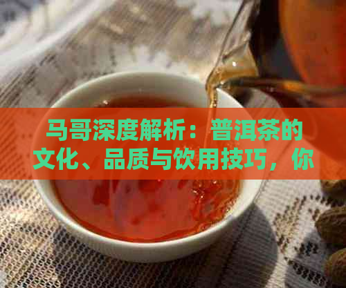 马哥深度解析：普洱茶的文化、品质与饮用技巧，你真的懂吗？