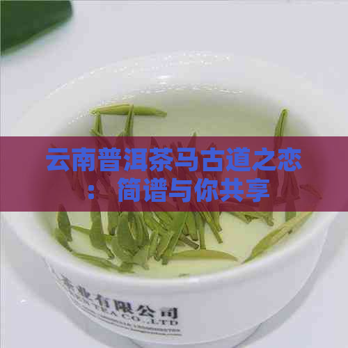 云南普洱茶马古道之恋： 简谱与你共享