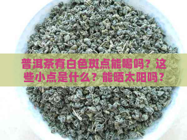 普洱茶有白色斑点能喝吗？这些小点是什么？能晒太阳吗？